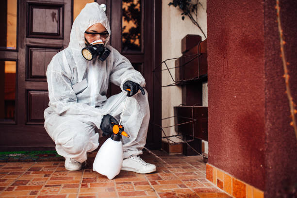 Reliable Mosquito Control contractor in Dover Plains, NY by Show Me Pest Control